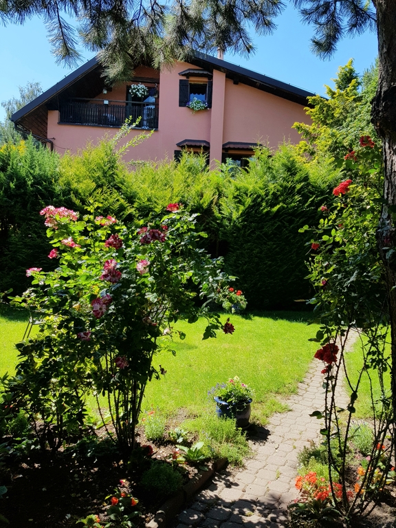 The view of our house from the east