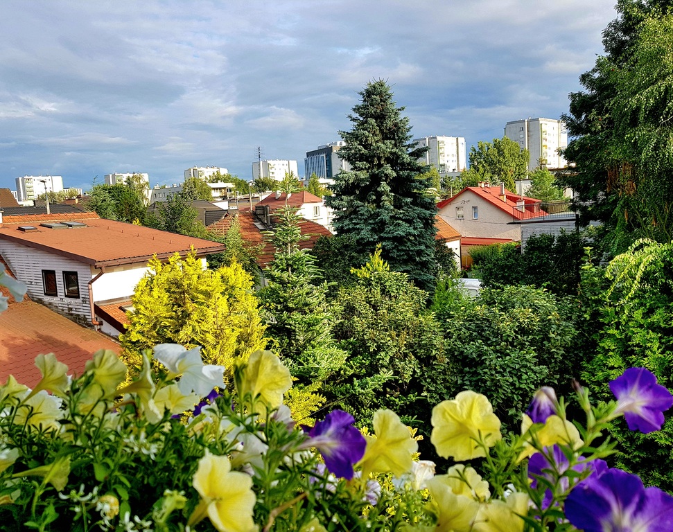 our house from the park side