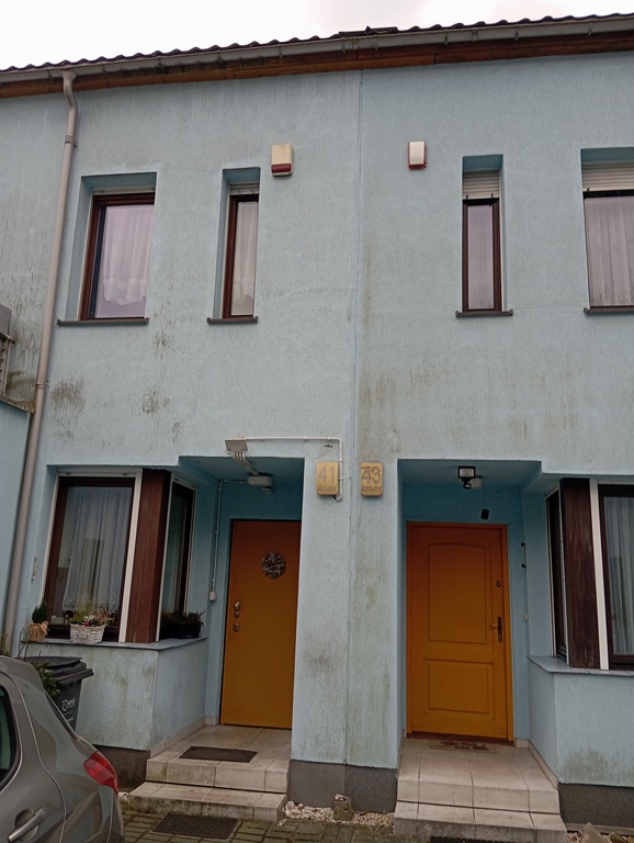 entrance to the house (left door)