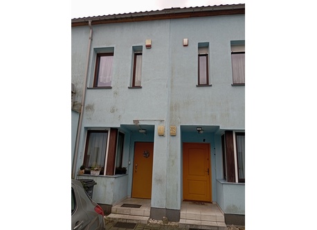 entrance to the house (left door)