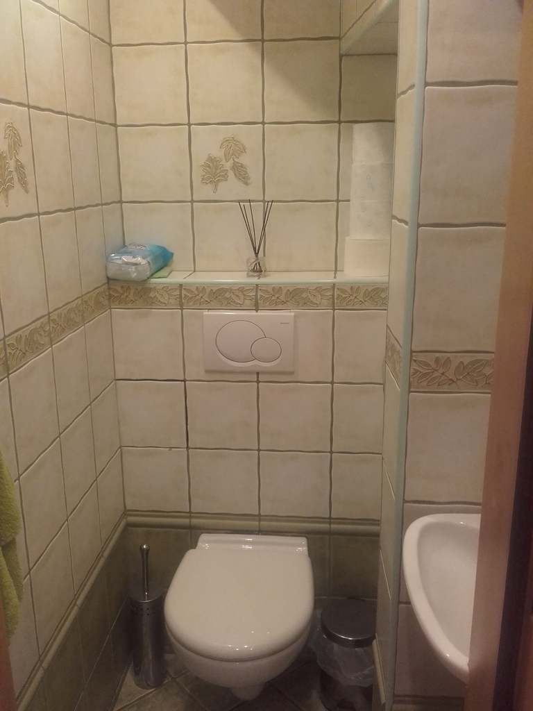 toilet in  flat Zabrze