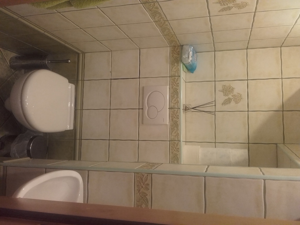 toilet in  flat Zabrze