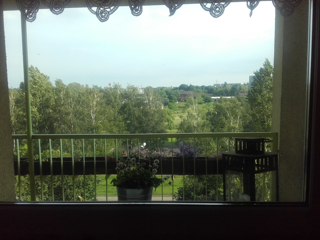 viev in flat zabrze