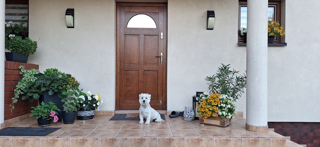 Main entrance (with our dog Tito ;) )