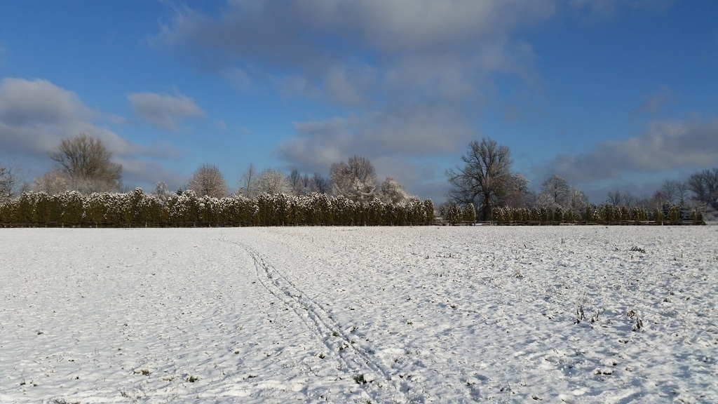 Winter across the street