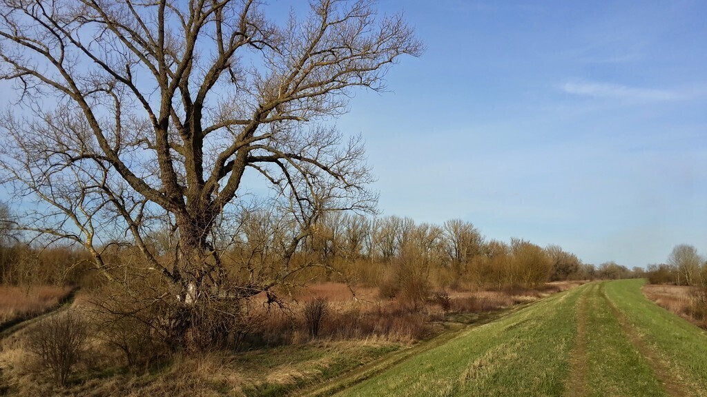 Early spring, walking distance from our house