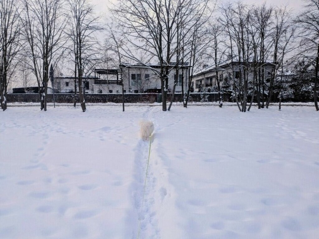 A nearby view of our house