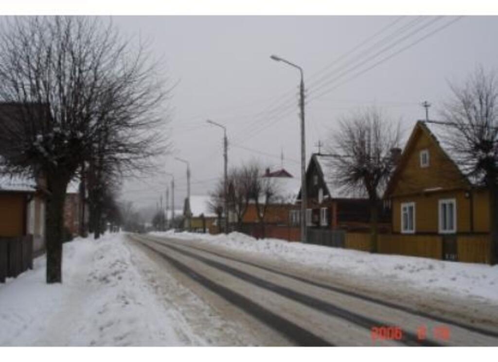 Białowieża wintertime