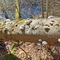 Nature reserve