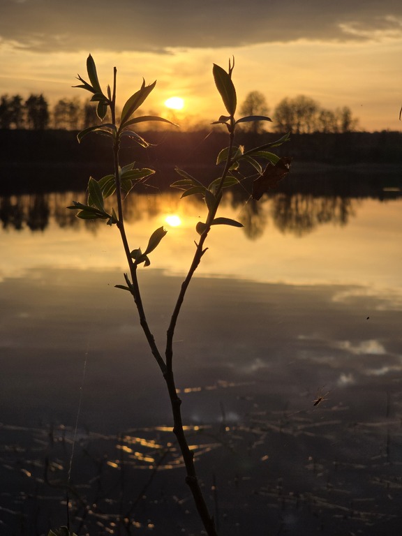Our lake