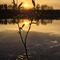 Our lake