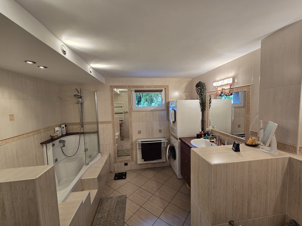 Downstairs bathroom