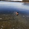 Our lake