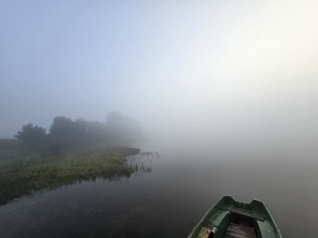 Our lake