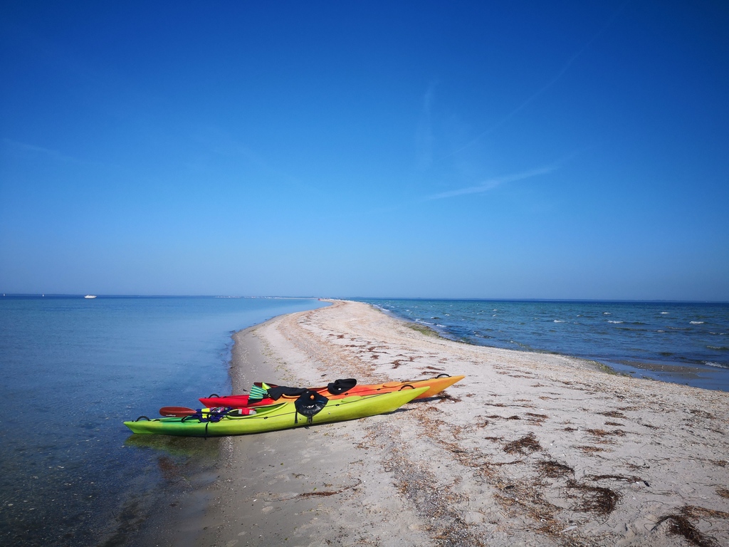 Our kayaks