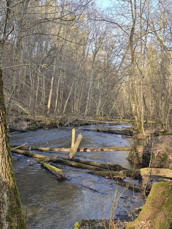 Nature reserve
