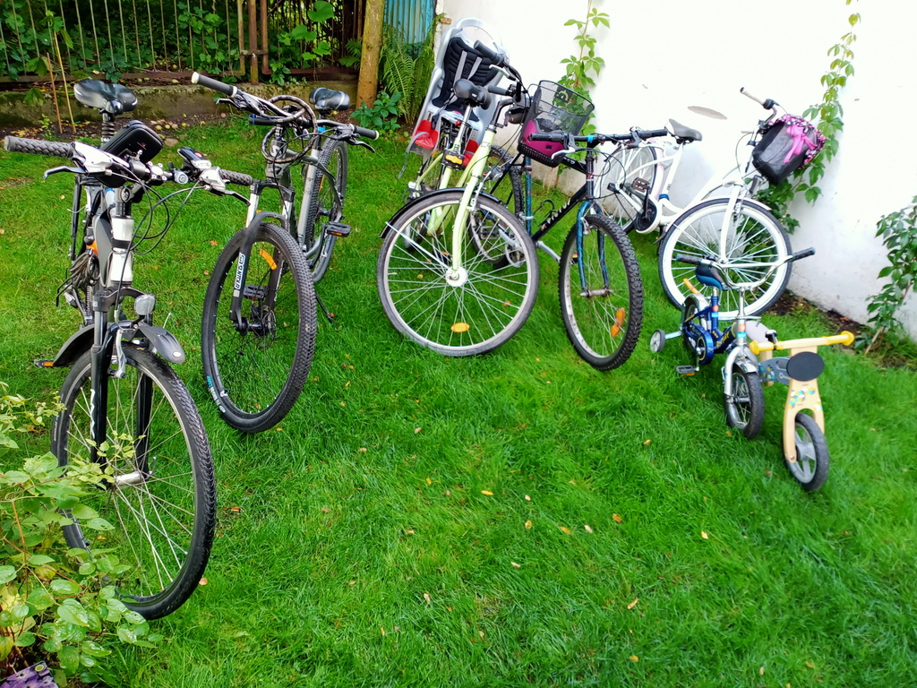 These are our bikes you can use. 