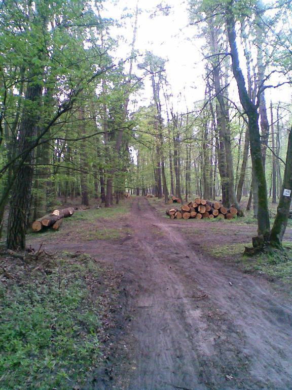 Biking near Poznan 5 - 10 km