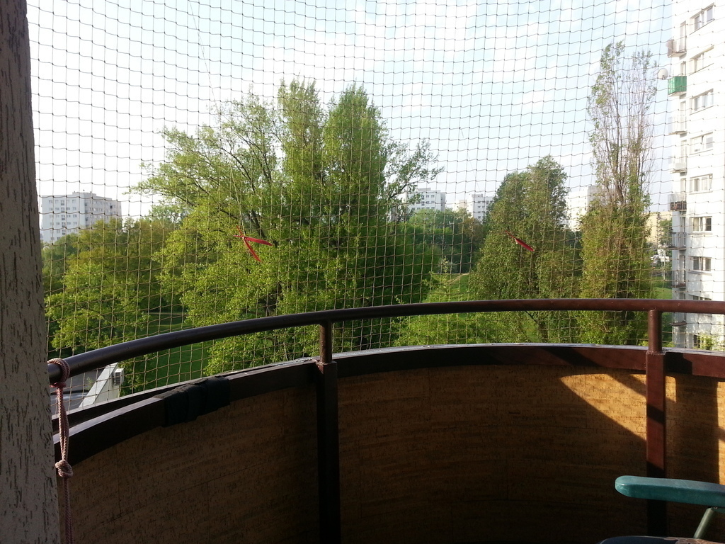 May 2018- view from the balcony