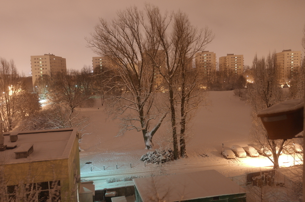 View to South , winter