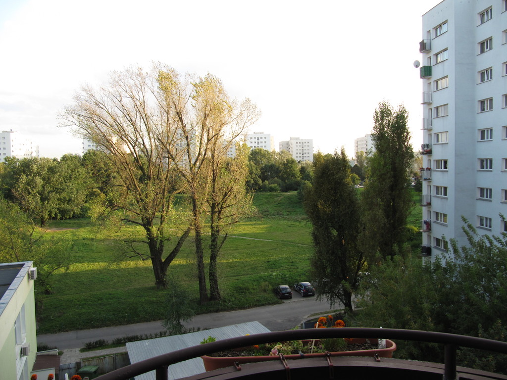 View to South , summer