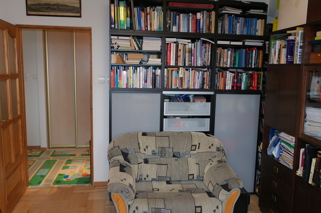 Library also the fifth folding sofa  to sleep