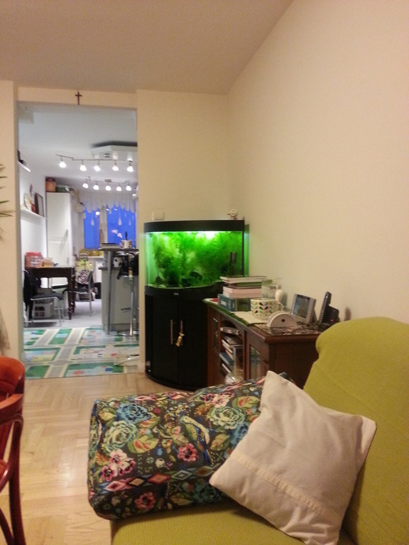 the main room - view to the kitchen