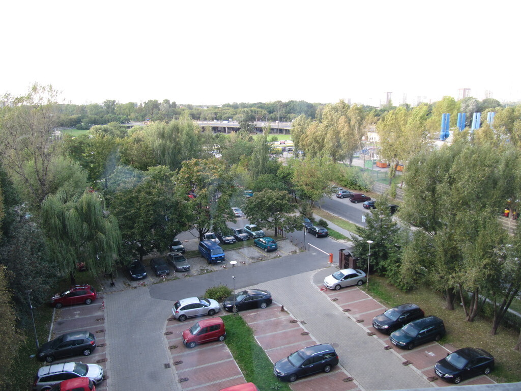 View to North , summer