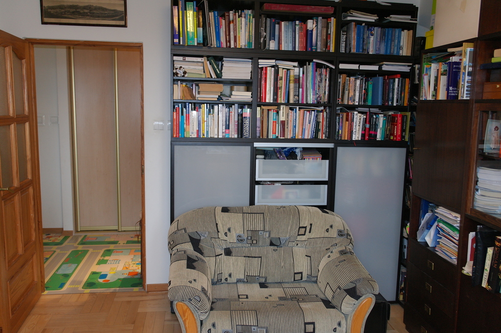 Library also the fifth folding sofa  to sleep