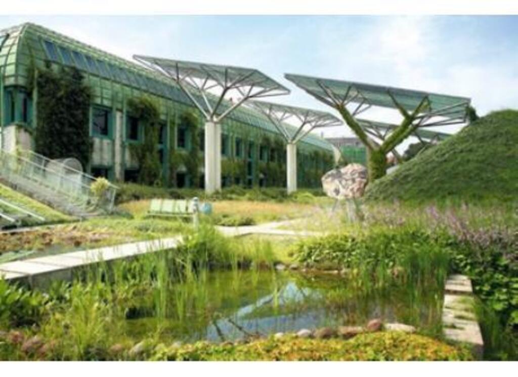 Garden on the university library roof 