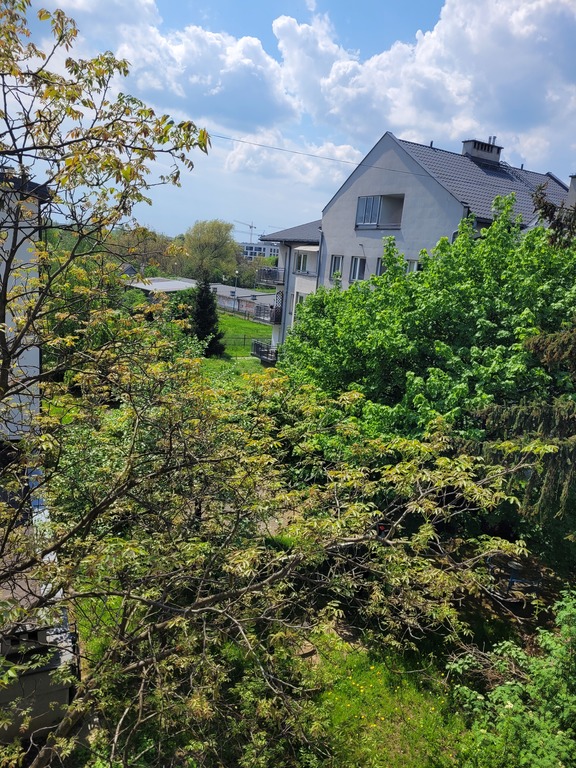 View from the balcony