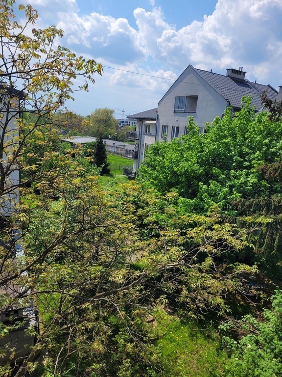 View from the balcony