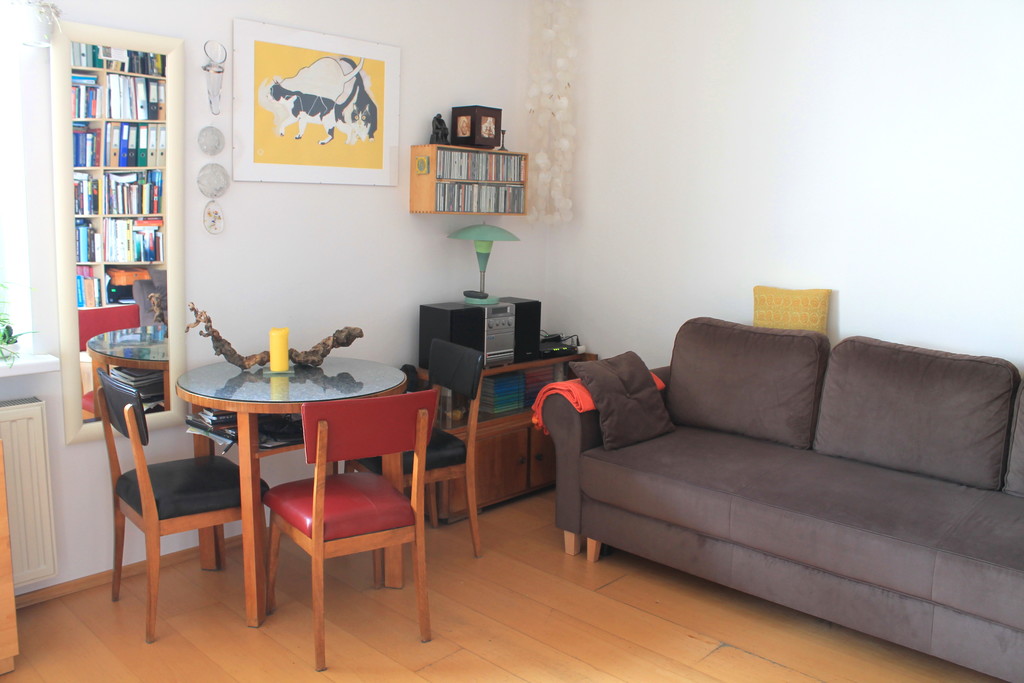 Living room, sofa bed - two sleeping places