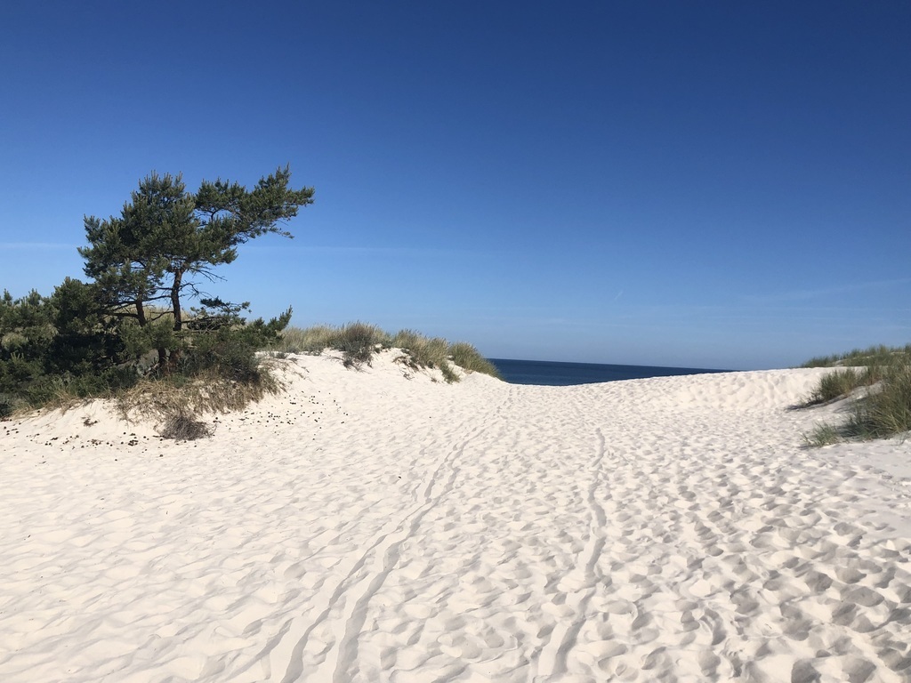 droga nad morze w Czołpinie