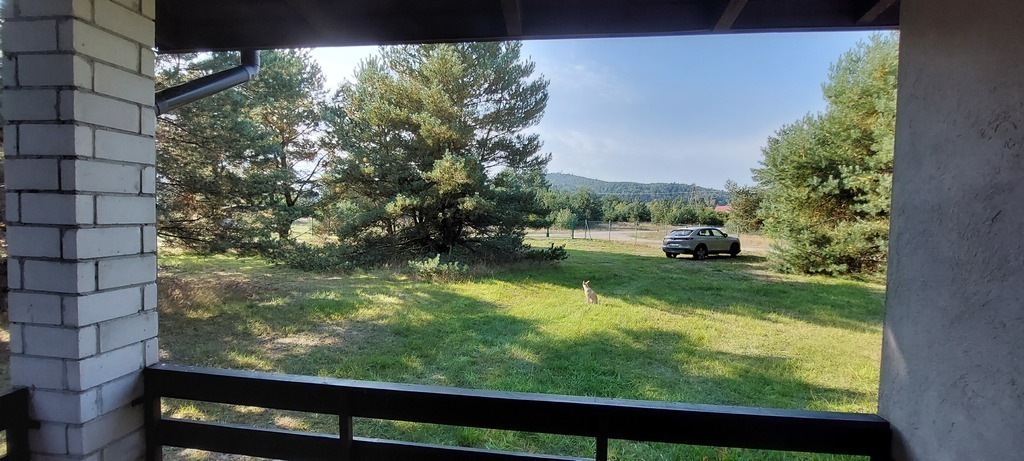 widok z tarasu