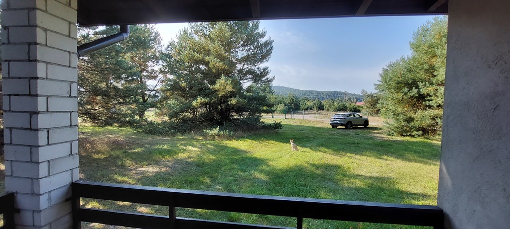 widok z tarasu