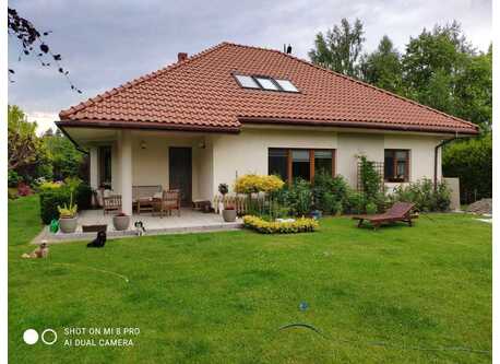 house with a terrace facing the garden