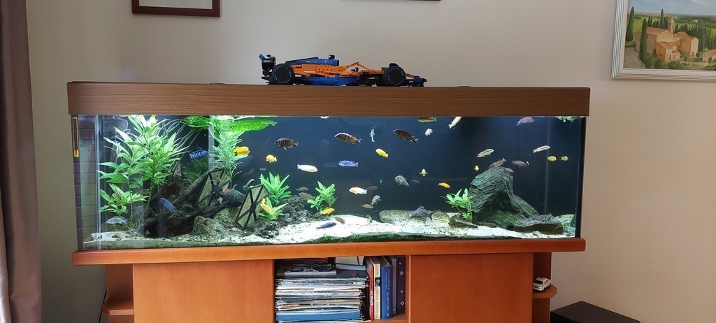 Akwarium w salonie