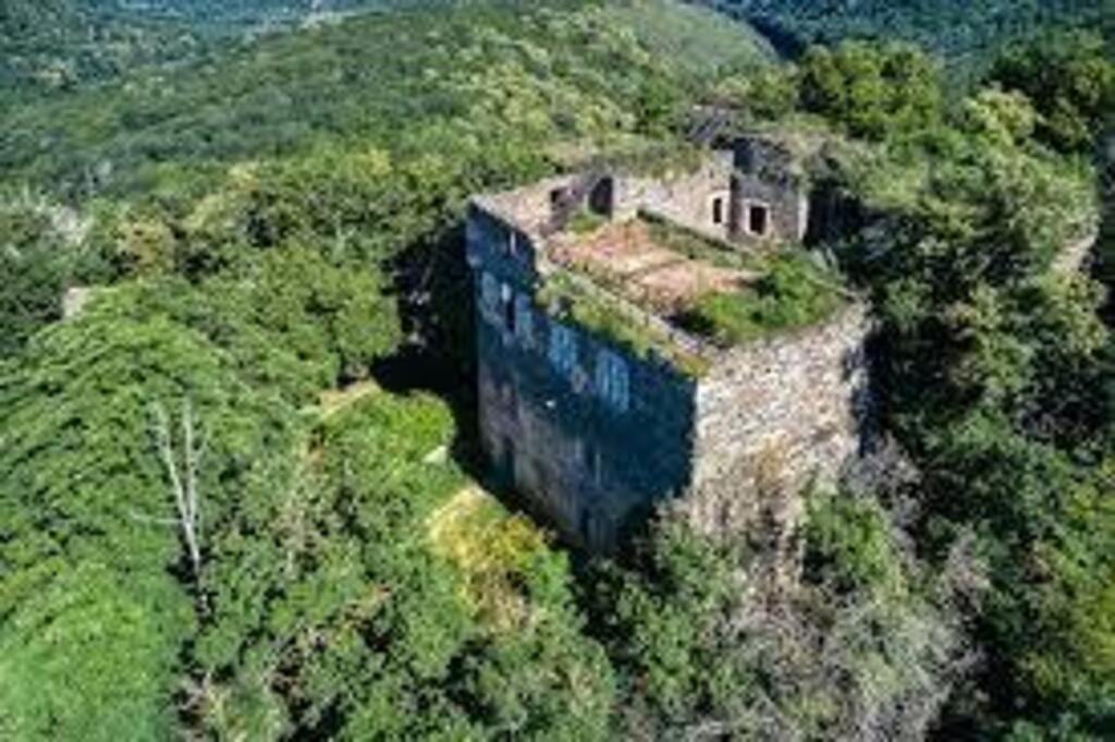 5 km Castle Novy Hradek