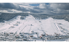19 km Zieleniec