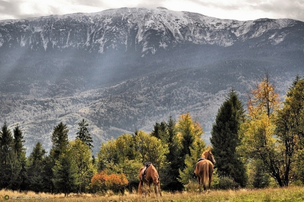 Babia Góra (1725 m)