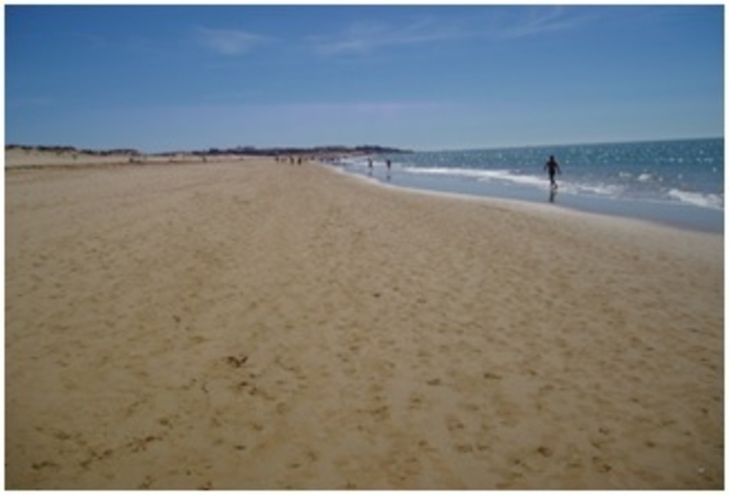 Praia Grande à 1,5 km