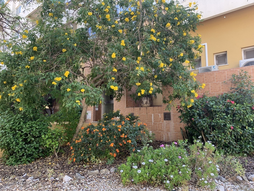 Entrance to the apartment