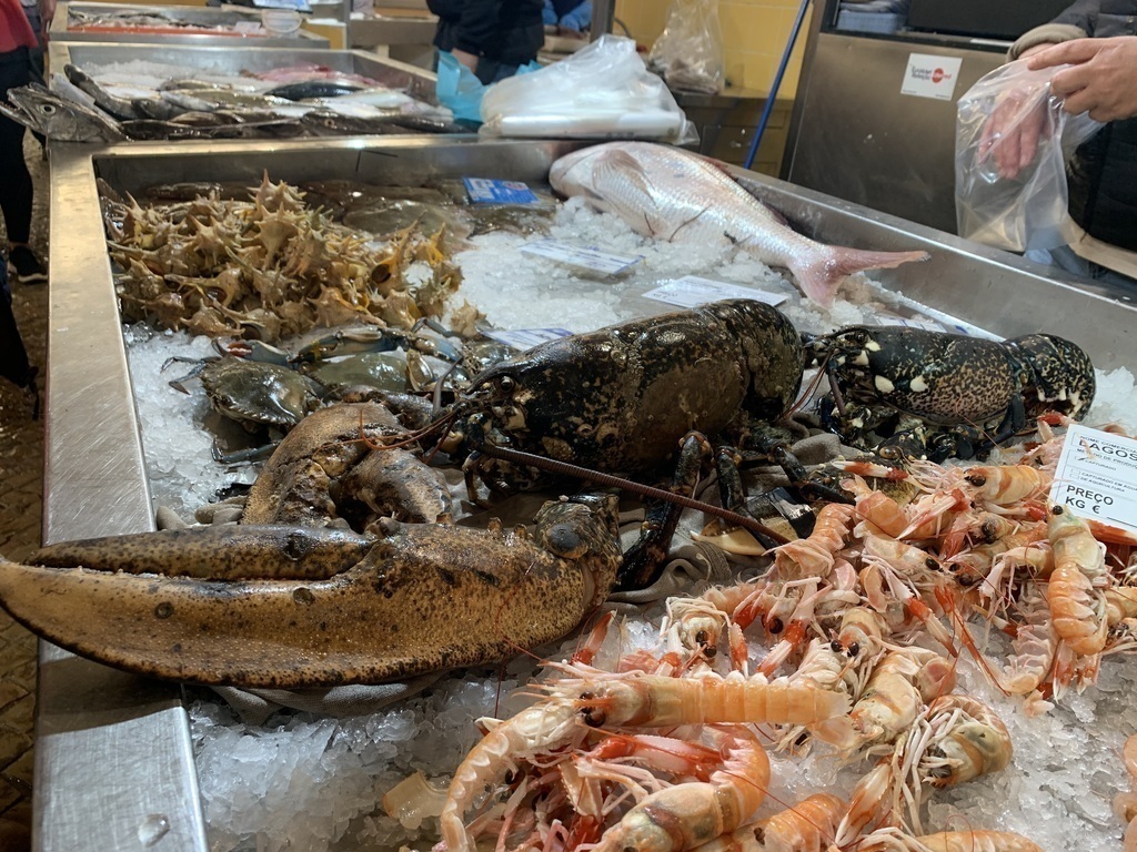 Farmers Market Tavira-Mercado Municipal