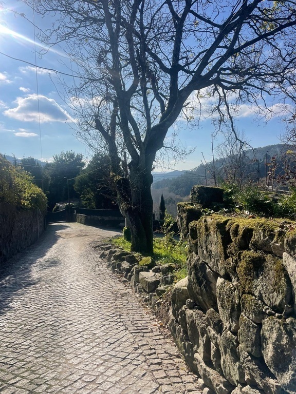 Omgeving rondom het appartement 