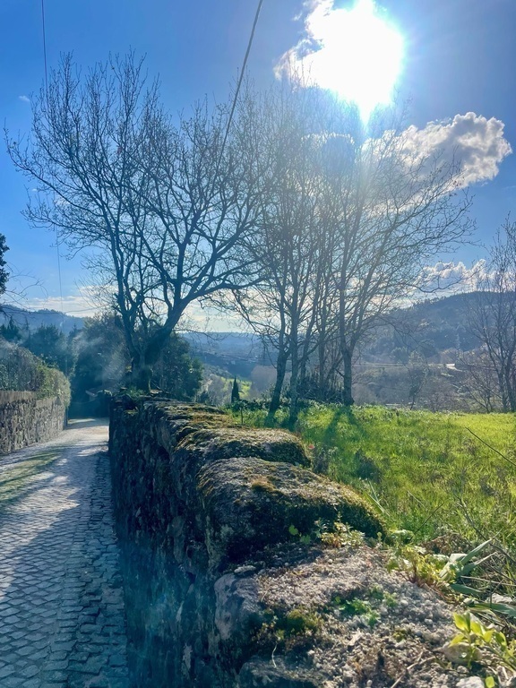 Omgeving rondom het appartement 