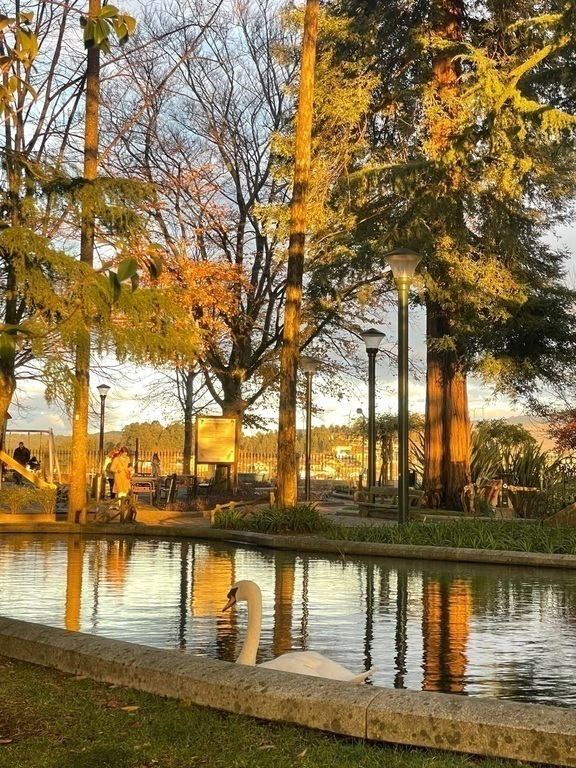 Charmante centrum van Fafe - stadspark herfstkleuren 