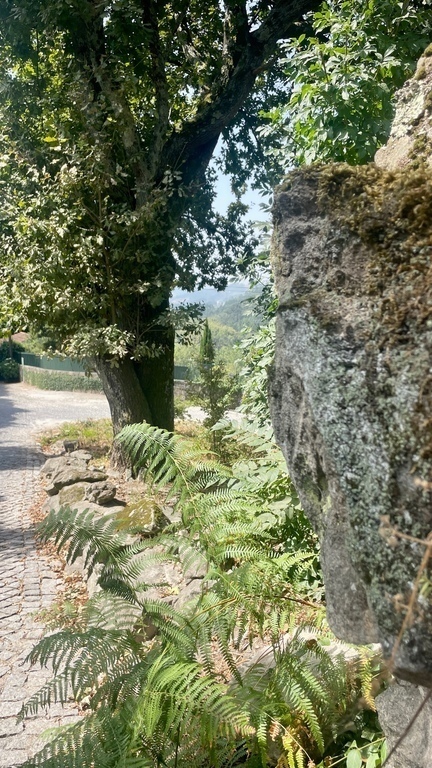 Omgeving rondom het appartement 