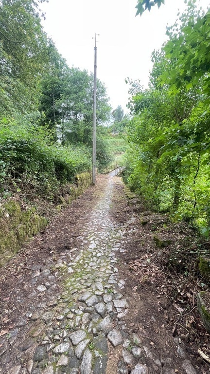 Omgeving rondom het appartement 