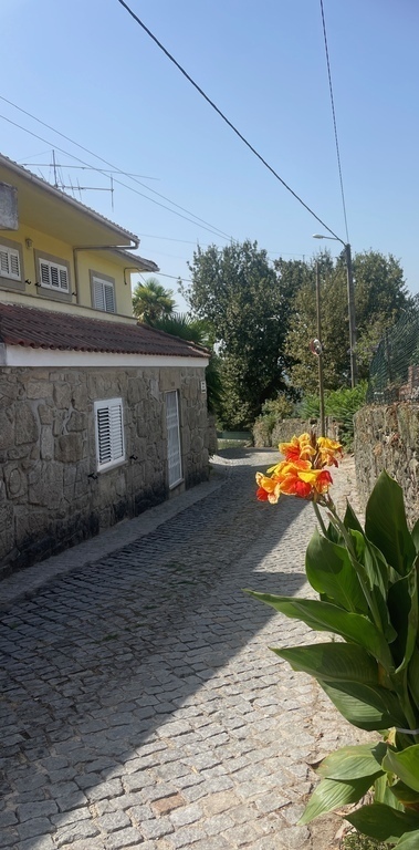 Omgeving rondom het appartement 